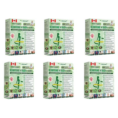 ✨Official Store | 🍋 Solaroza® Moringa & Berberine 10-IN-1 Advanced Nano Microneedle 1 Patch (Once Daily, visible changes in 7 days) ✅ Obesity, Diabetes, Sleep Apnea, And Joint Issues-1